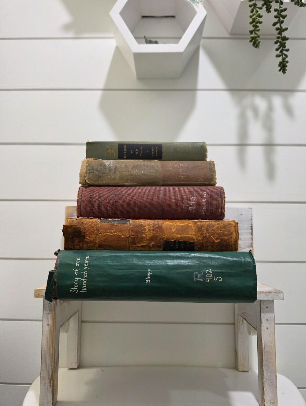 1800s Antique Book Collection